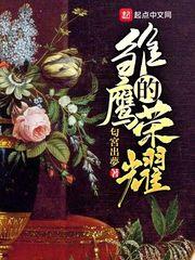 雏鹰的荣耀 雏鹰的荣耀
